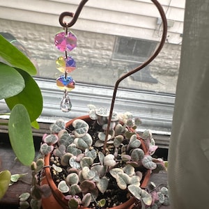 lindsey added a photo of their purchase