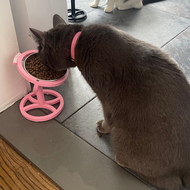 No More scarf AND Barf the Cat Bowl Stand That Eliminates Vomiting