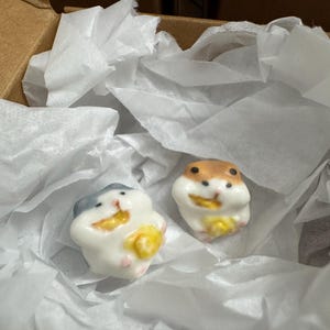 Comprador Etsy adicionaram uma foto da sua compra