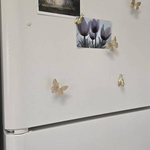 Elisa added a photo of their purchase