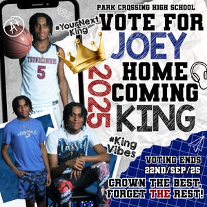 Knotless Braids Flyer Template: Braids Pricelist, Special Deals (Canva Editable, Digital Download)