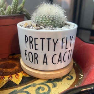 Funny Succulent Pot Cactus Pot Small Planter With Drainage Ceramic Pot ...