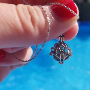 Nikki added a photo of their purchase