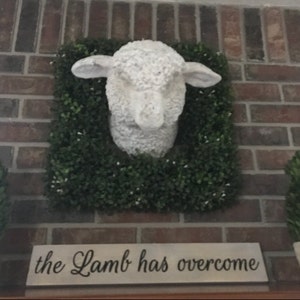 eyla added a photo of their purchase