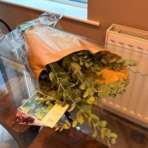 Danna added a photo of their purchase