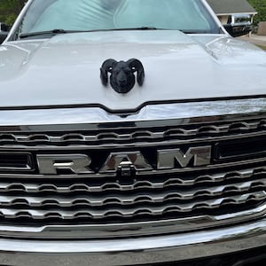 Alex added a photo of their purchase