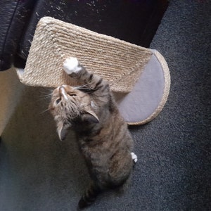 Liane added a photo of their purchase