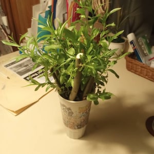 Adam ha añadido una foto de su compra