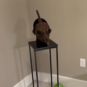 James added a photo of their purchase