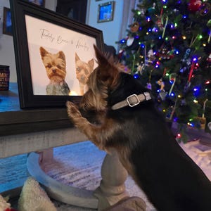 Alexandria added a photo of their purchase