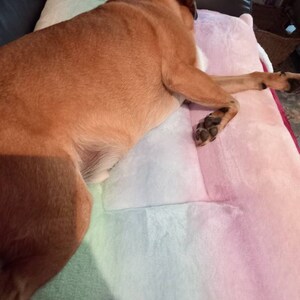 Jane ha aggiunto una foto del proprio acquisto