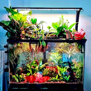 Hang-On-Back Aquarium Light Riser | 12 inch Height |