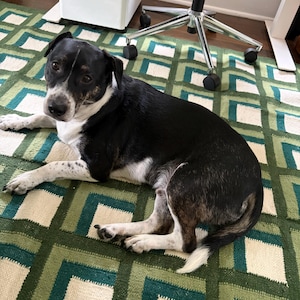 Whittney ha añadido una foto de su compra