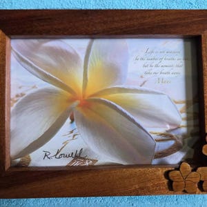 Jerilee added a photo of their purchase