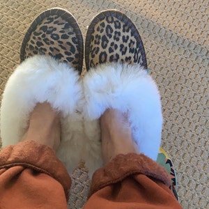 sheepers leopard