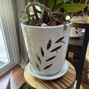 Michelle added a photo of their purchase