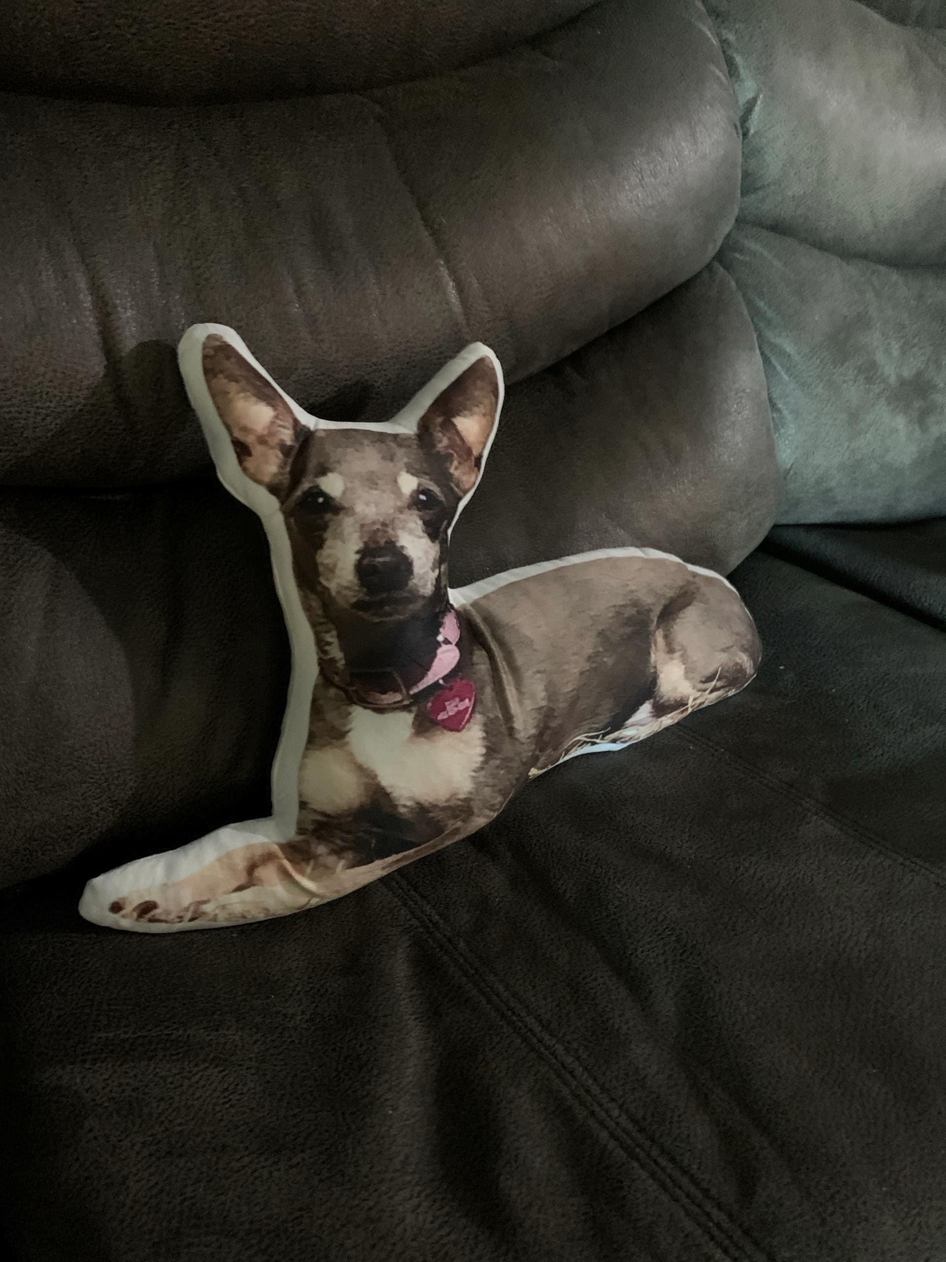 Custom Pet Pillow | Personalized Pillow | Pet Memorial Gift | Custom shaped pillow | Dog Pillow | Cat Pillow | Pet Lover Gift