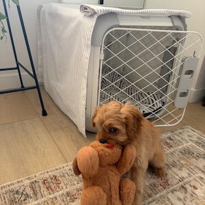 lisa added a photo of their purchase