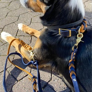 Dorothee added a photo of their purchase
