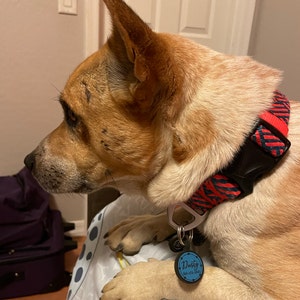 Kati added a photo of their purchase