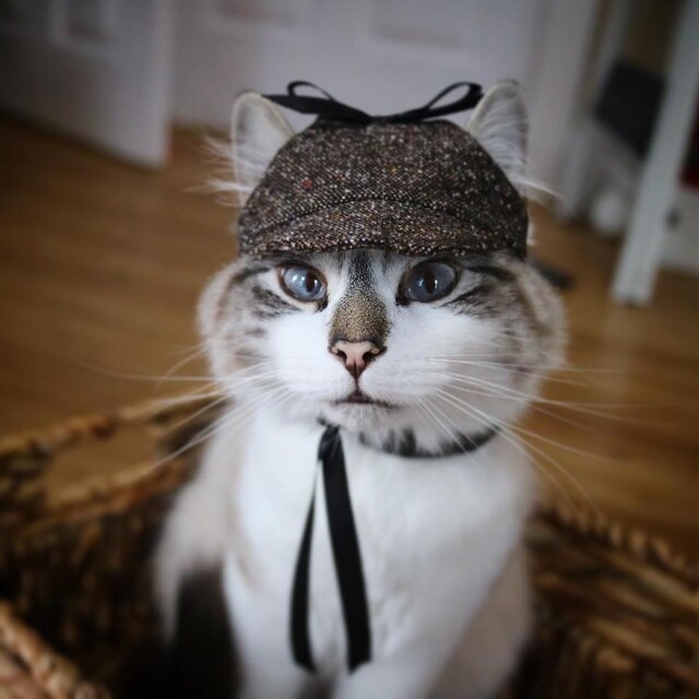 Fluffy cat knit hat