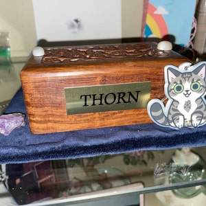 Gina added a photo of their purchase