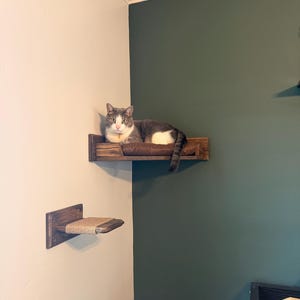 Brenda hat ein Foto des gekauften Artikels hinzugefügt