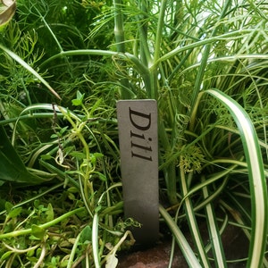 Sharon adicionaram uma foto da sua compra