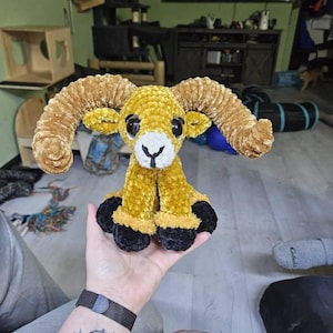 Amber added a photo of their purchase