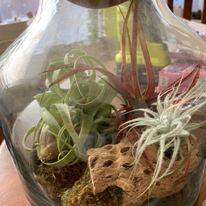 Stephanie added a photo of their purchase