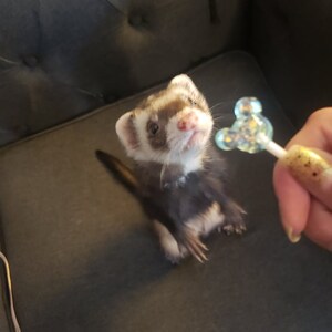 Avery ha añadido una foto de su compra