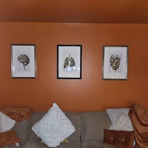 Olivia added a photo of their purchase