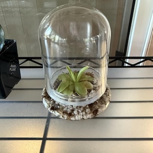 Kaitie added a photo of their purchase