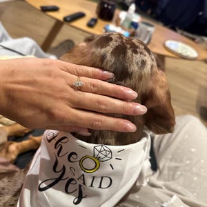 Alexandra added a photo of their purchase