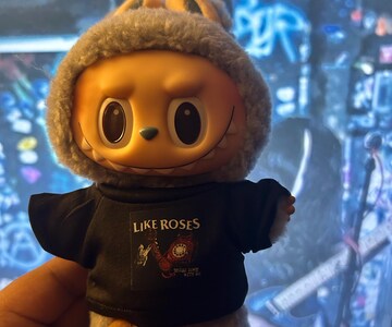 Custom labubu Merch shirt doll tshirt hoodie customize personalizd doll camisa playera