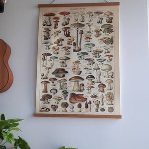 Lucie heeft een foto van de aankoop toegevoegd