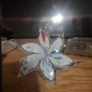 Cami heeft een foto van de aankoop toegevoegd