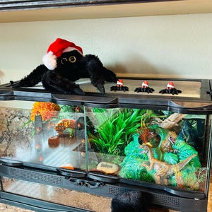 Karen added a photo of their purchase