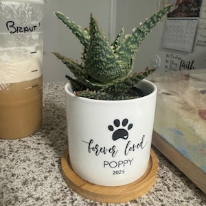 Joshua added a photo of their purchase