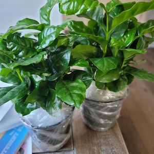 Kevin added a photo of their purchase