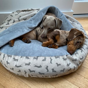 Rachel added a photo of their purchase