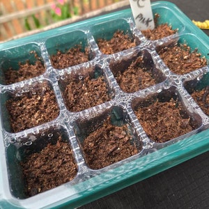 JoAnn ha añadido una foto de su compra