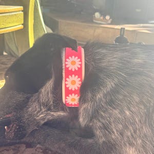 Liora added a photo of their purchase