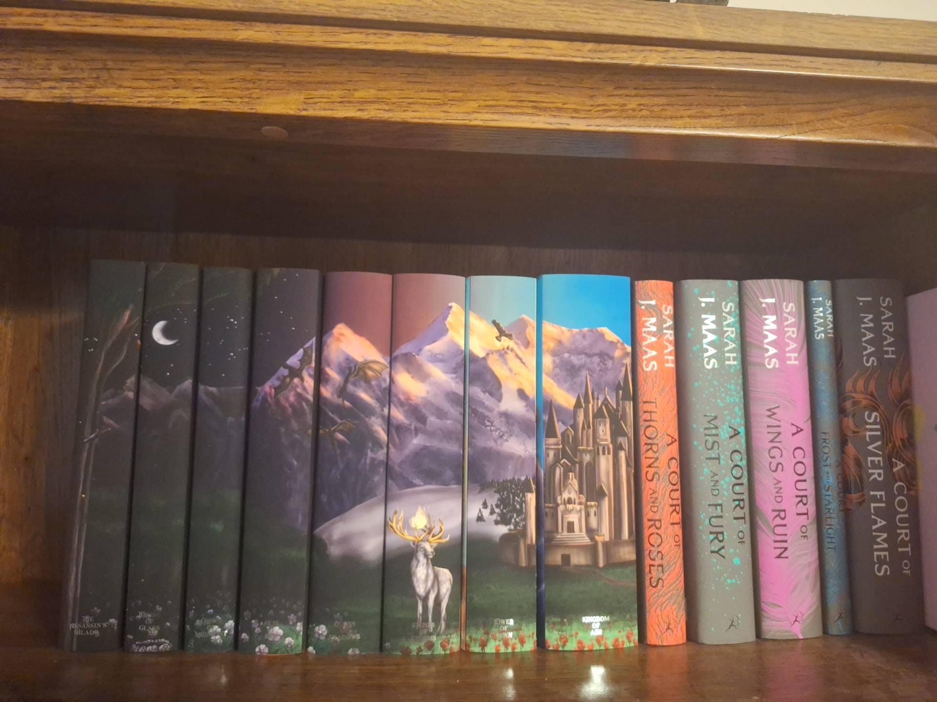 Throne of Glass Series by Sarah J. Maas - Throne of Glass, TOG Books, TOG Merch | Officially Licensed by Sarah J. Maas