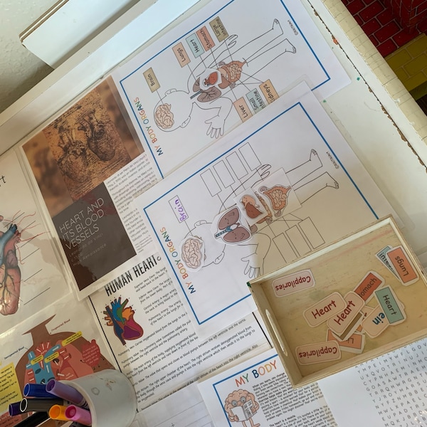 Heart Anatomy Printable Activity, Human Body Game, About Me, Heart ...