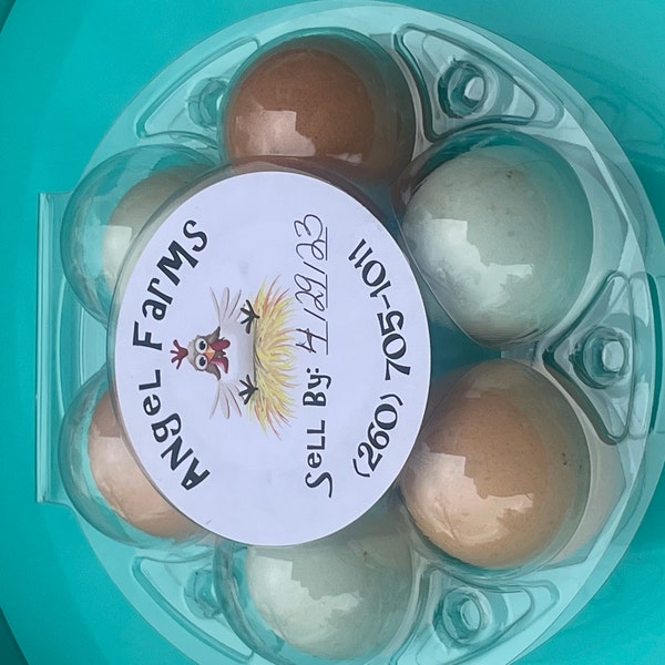 Egg Carton Labels, Funny, Jokes & Yolks, 3 Pc Set - Etsy