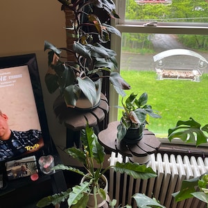 Kristin added a photo of their purchase