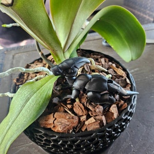 Setsuki added a photo of their purchase