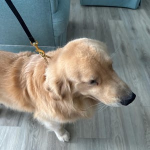 Nancy heeft een foto van de aankoop toegevoegd