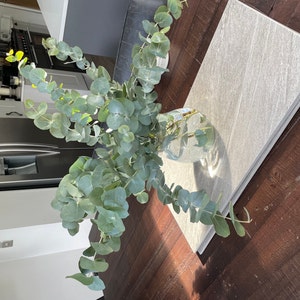 Emma ha añadido una foto de su compra